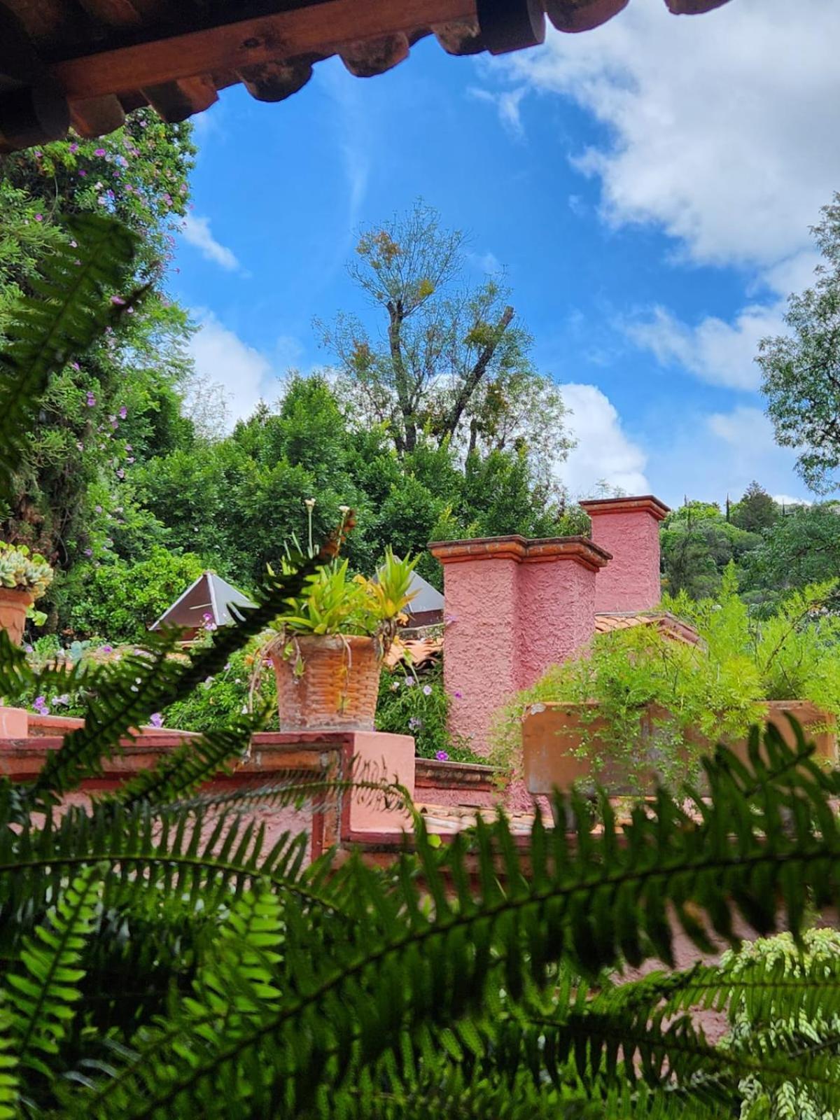 Tres Fuentes Hotel Boutique سان ميغيل دي الليندي المظهر الخارجي الصورة